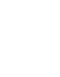 ss-icon