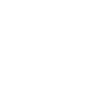 ss-icon